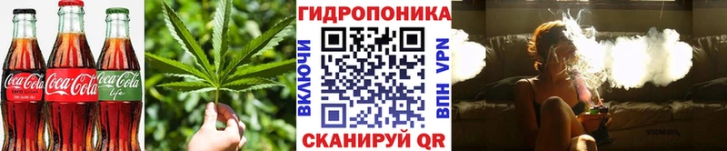 Cannafood марихуана Ивангород