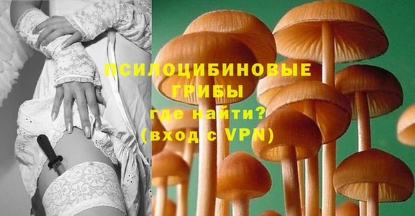 ECSTASY Алексин
